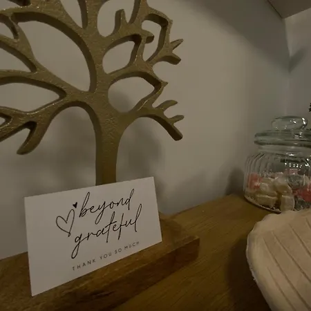 Skg Vibes Apartamento *